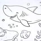 Educational Coloring Roll