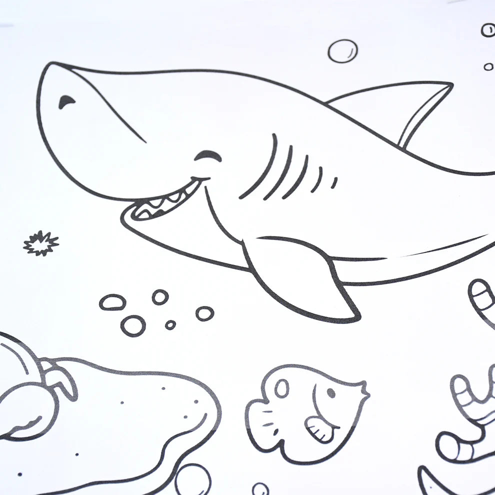 Educational Coloring Roll