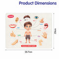 Wooden Human Body Parts Puzzle