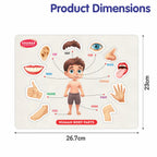 Wooden Human Body Parts Puzzle