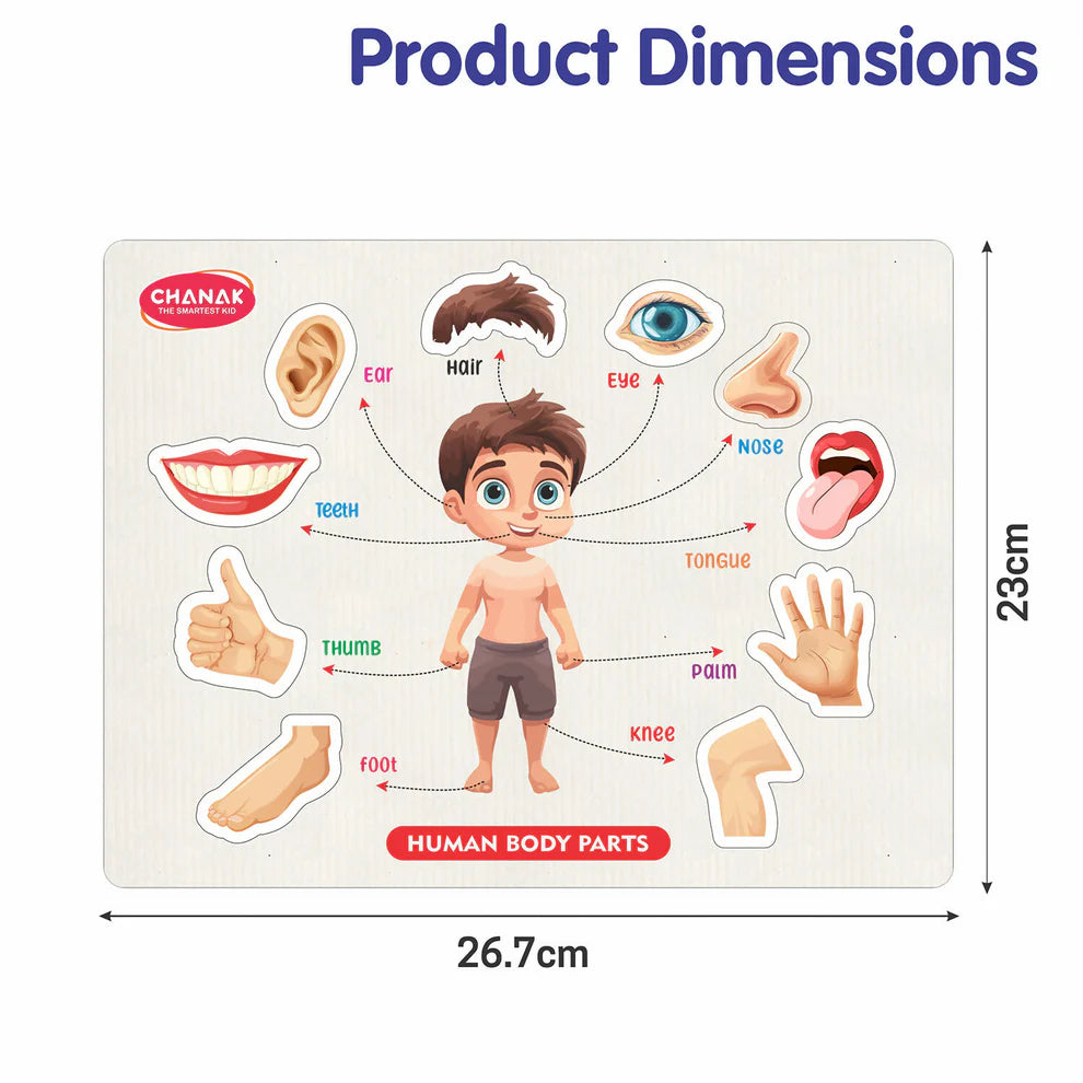 Wooden Human Body Parts Puzzle