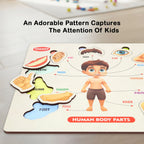 Wooden Human Body Parts Puzzle
