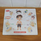 Wooden Human Body Parts Puzzle