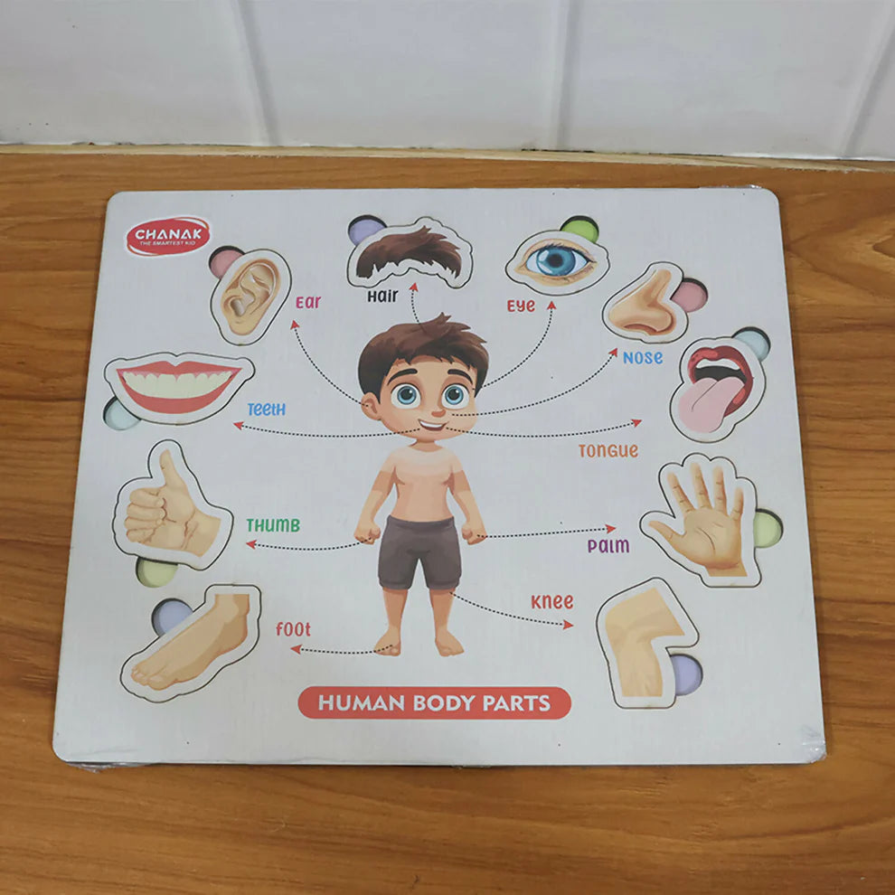 Wooden Human Body Parts Puzzle