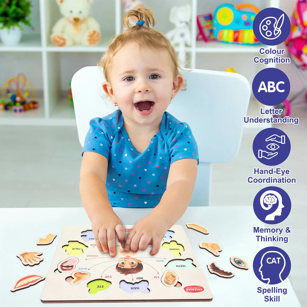 Wooden Human Body Parts Puzzle