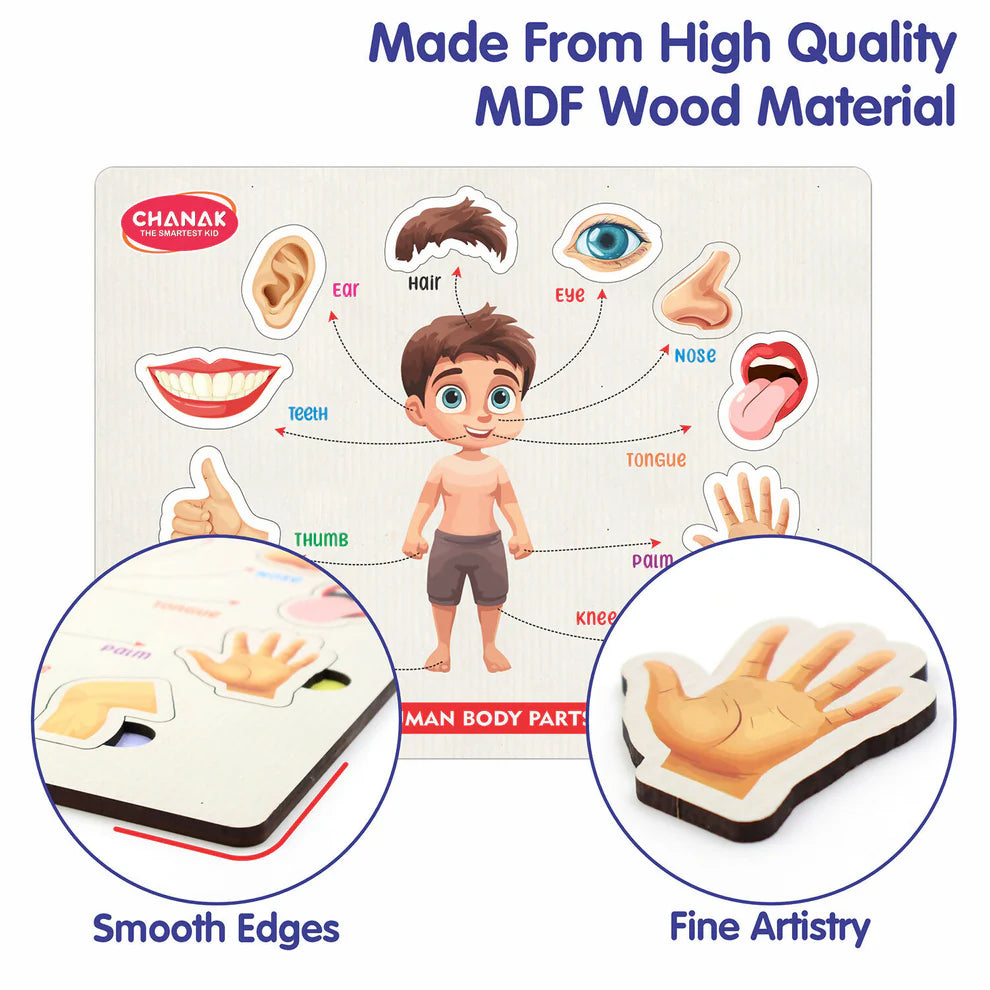 Wooden Human Body Parts Puzzle